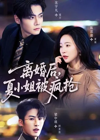 离婚后,夏小姐被疯抢