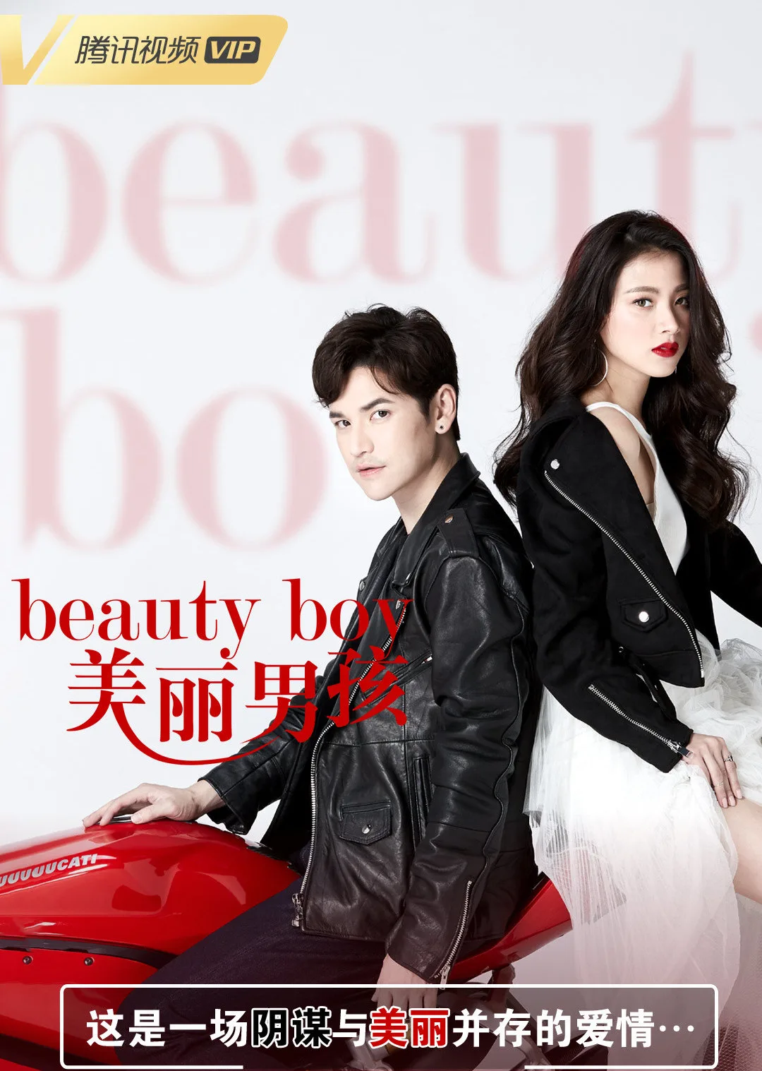美丽男孩国语